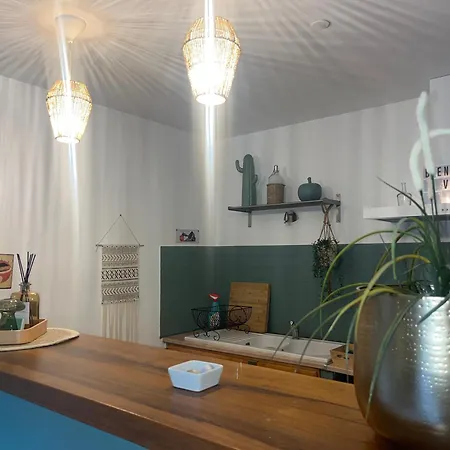 Grand Neuf En Rez De Jardin Avec Terrasse *