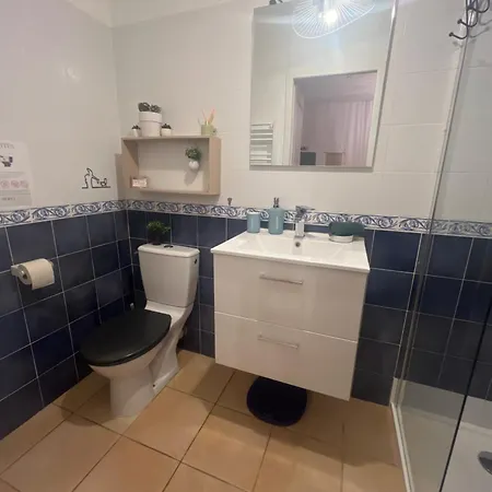 Grand Neuf En Rez De Jardin Avec Terrasse