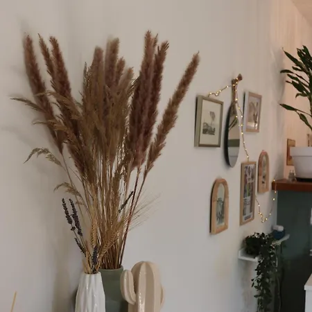 Grand Neuf En Rez De Jardin Avec Terrasse Apartamento