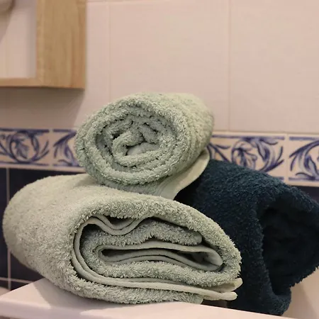 Grand Neuf En Rez De Jardin Avec Terrasse