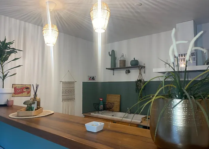 Grand Neuf En Rez De Jardin Avec Terrasse *