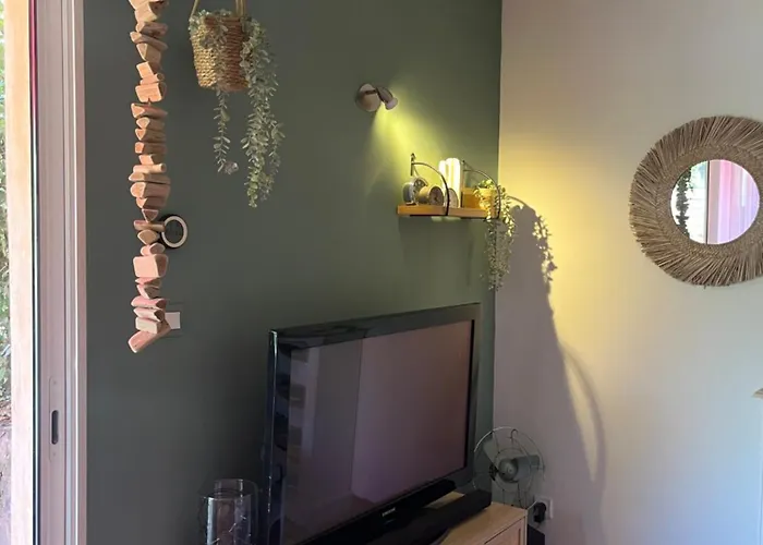 Appartement Grand Neuf En Rez De Jardin Avec Terrasse *