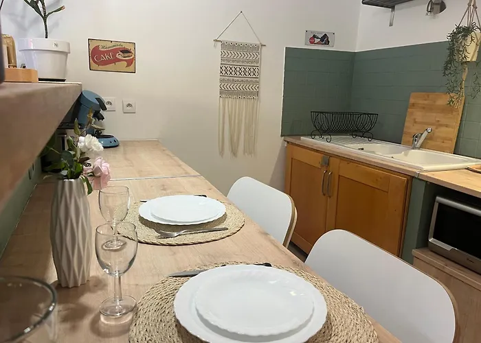 Grand Neuf En Rez De Jardin Avec Terrasse Appartement