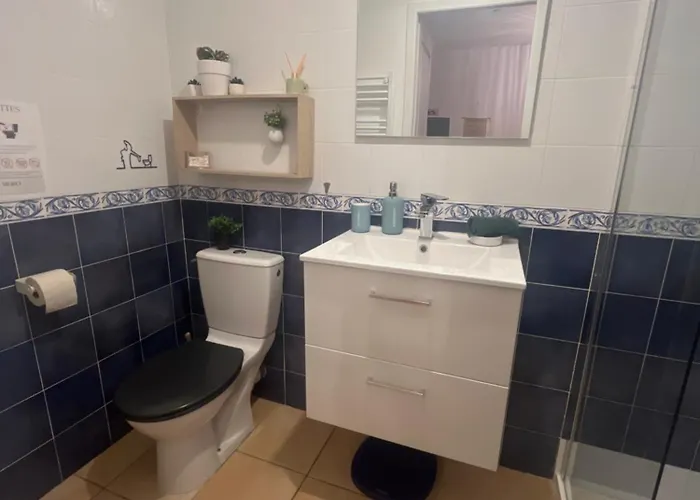 Grand Neuf En Rez De Jardin Avec Terrasse