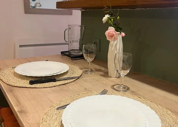 Grand Neuf En Rez De Jardin Avec Terrasse Digne-les-Bains