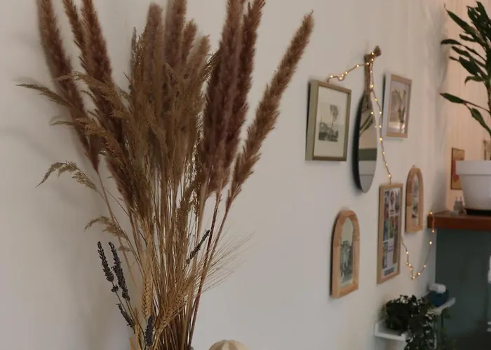 Grand Neuf En Rez De Jardin Avec Terrasse 아파트