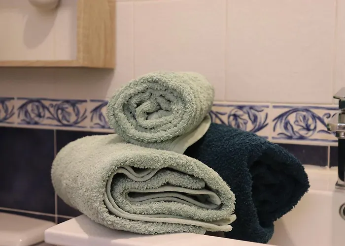 Grand Neuf En Rez De Jardin Avec Terrasse